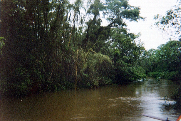 Le Rio Iguazu