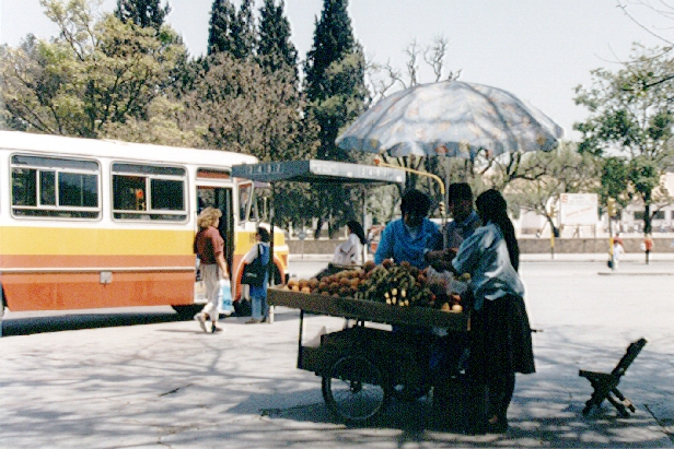 Marchande de lgumes  la gare routire de Salta