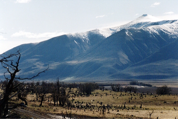 Paysage de mort sur la route des glaciers