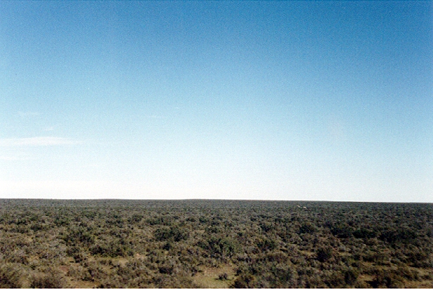 Paysage de Patagonie