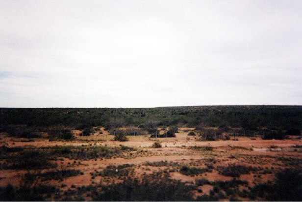 Le nord de la Patagonie