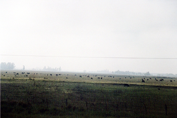 La Pampa