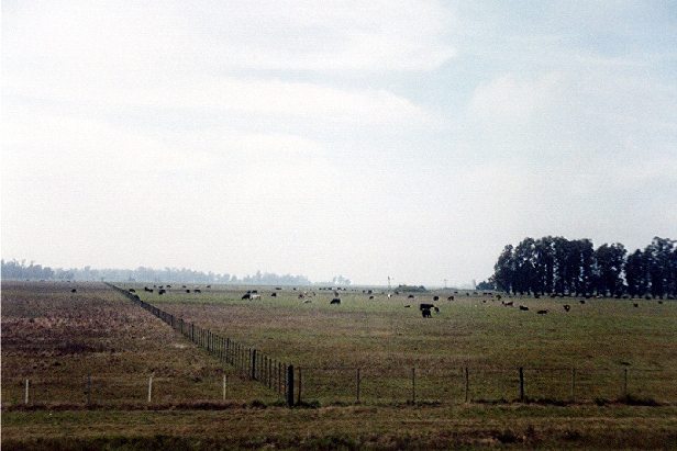 La Pampa