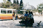 Marchande de fruits  la gare routire de Salta