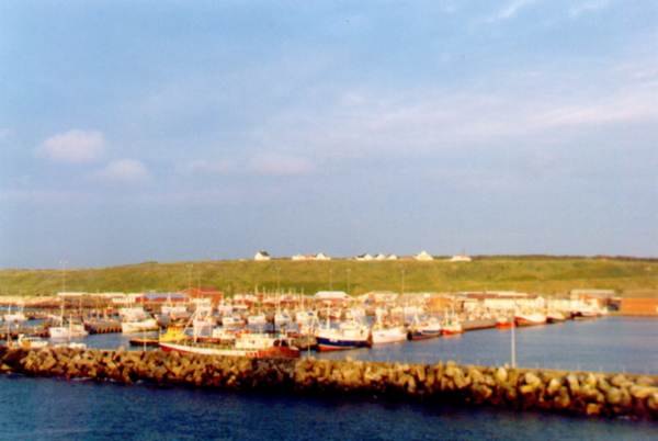 Le port de pche de Hanstholm