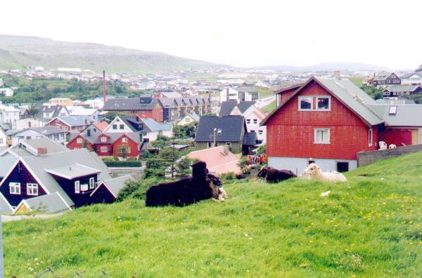 Torshavn et ses moutons, comme partout aux Fros