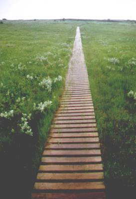 Petite rando en partie sous la pluie !