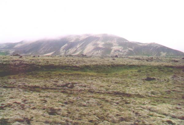 En route vers le Nord,  travers la lave recouverte d'une paisse mousse confortable