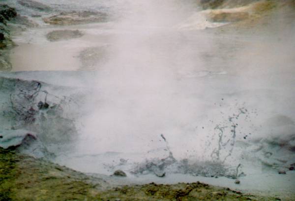 Petit bain de boue ? un peu chaud !...